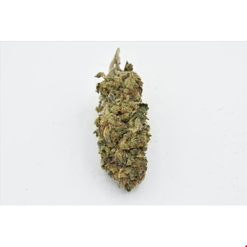 Jet Fuel (Hybrid) - SALE 1 OZ $55